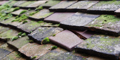 Oakley roof repair costs